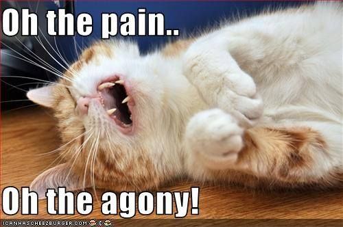 the-pain
